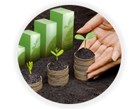 تحسين نمو النباتات