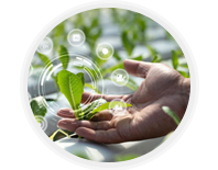 زيادة الإنتاجية الزراعية