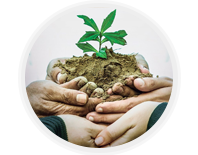 تحسين خصوبة التربة